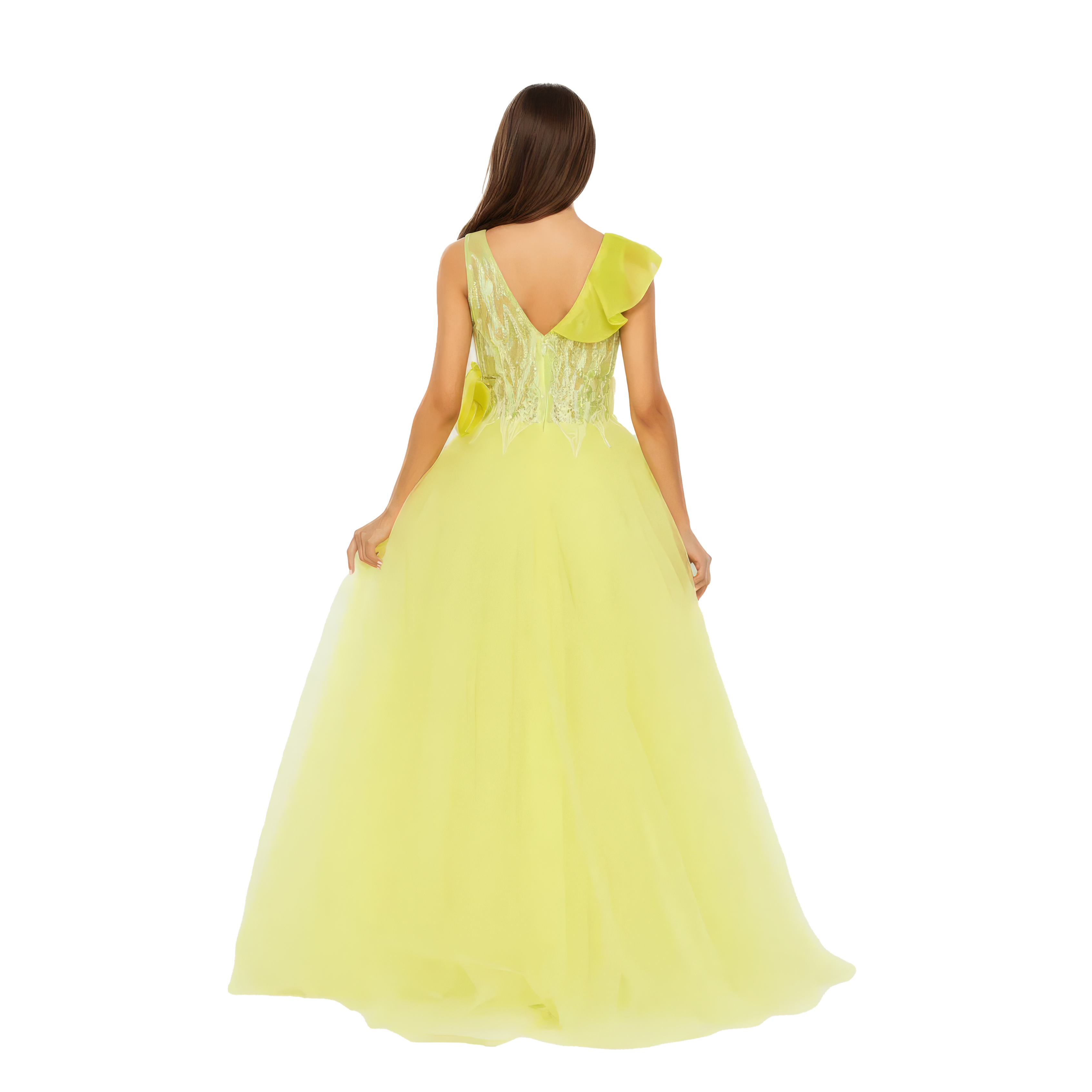 Sleeveless Maxi Tulle A - Line Dress