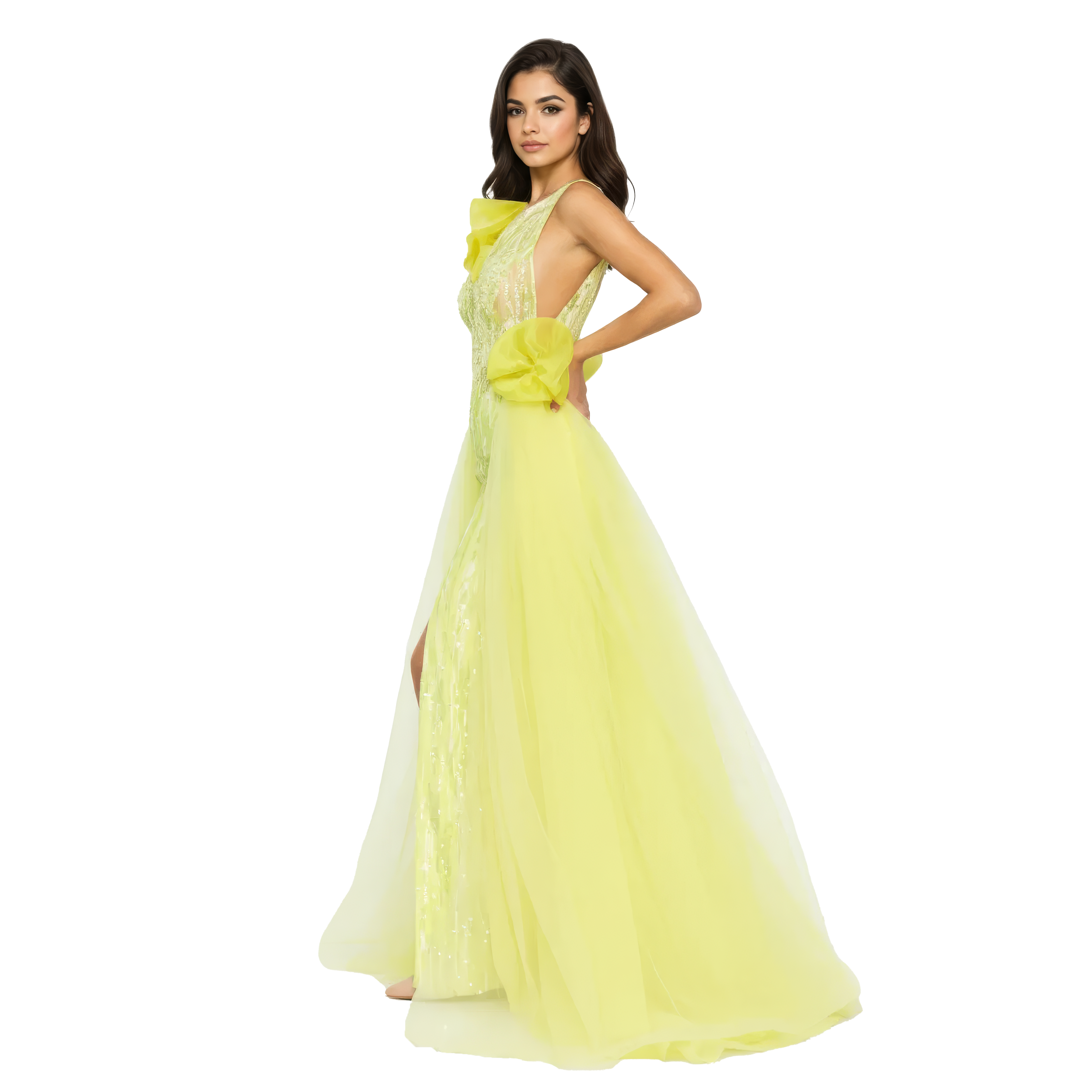Sleeveless Maxi Tulle A - Line Dress