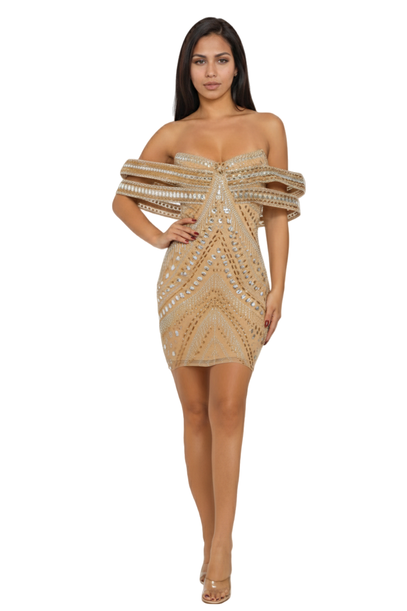 Embellished Bandeau Style Strapless Bodycon Mini Dress